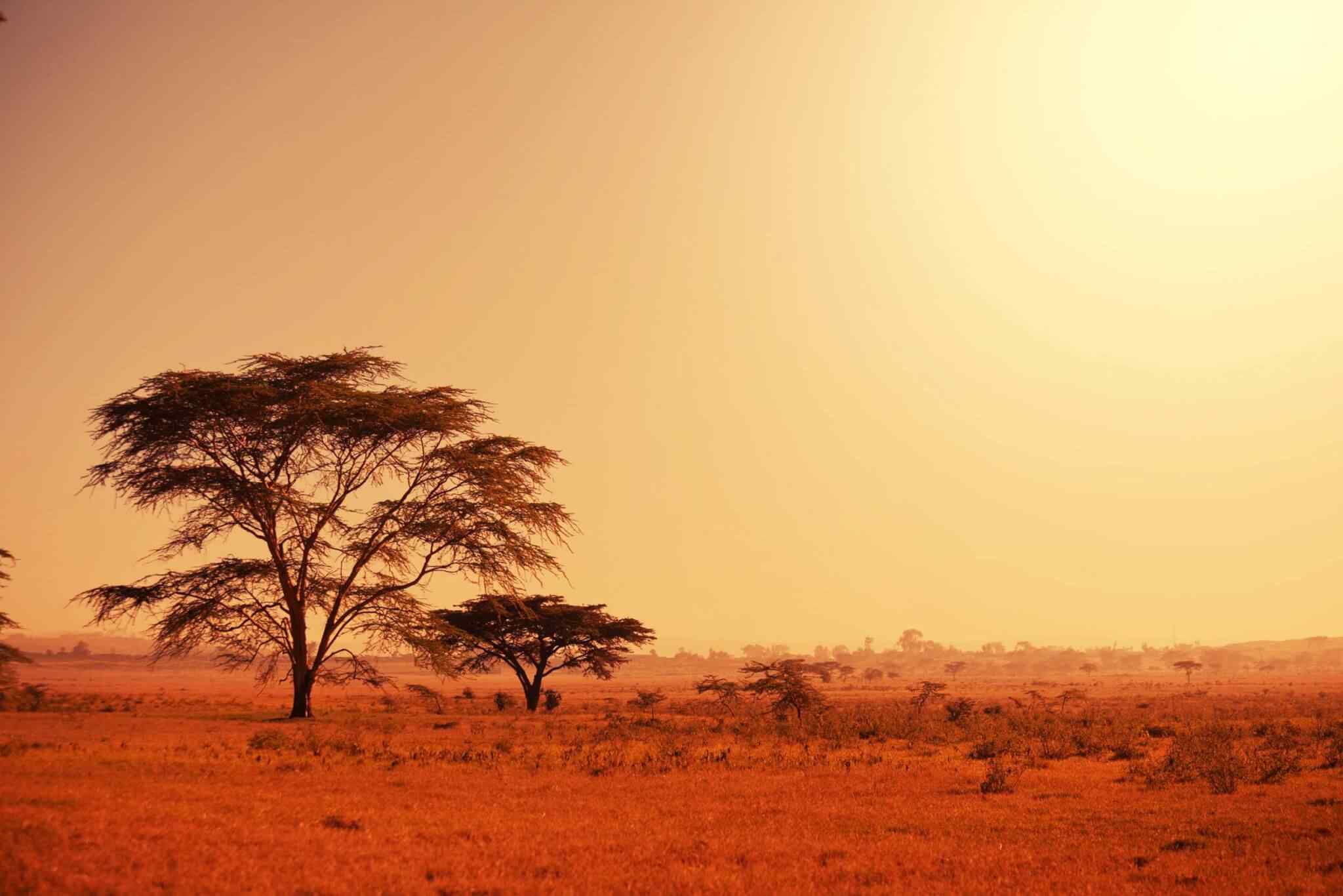 https://hatab.bw/wp-content/uploads/2018/09/tour-africa-02.jpg