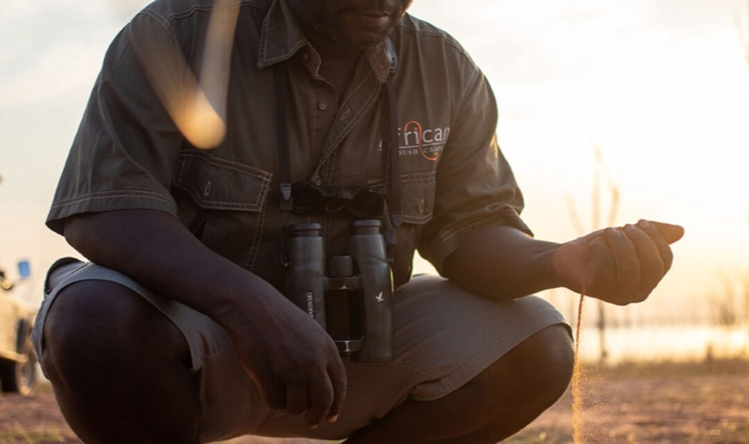 African Bush Camps