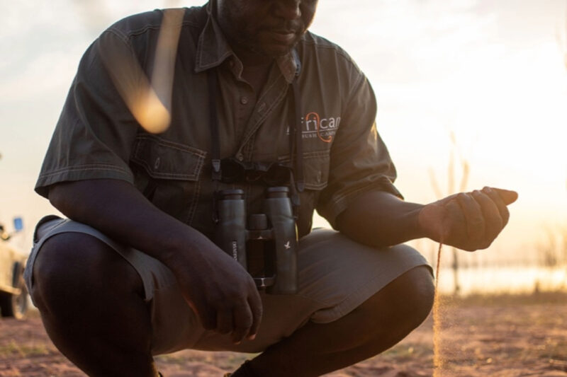 African Bush Camps