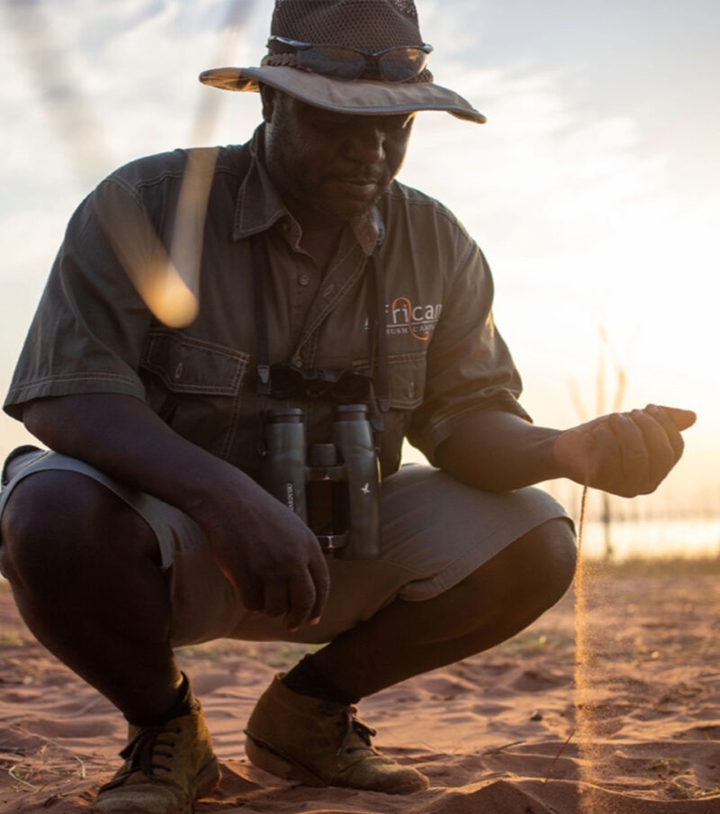 African Bush Camps