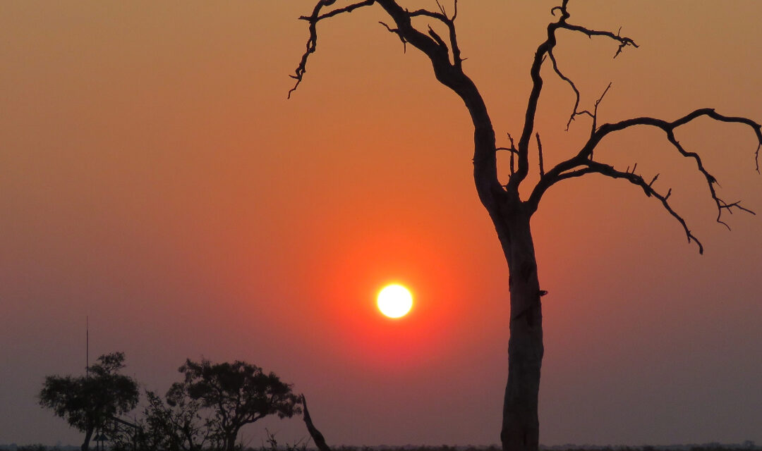 Kalahari Breeze Safaris