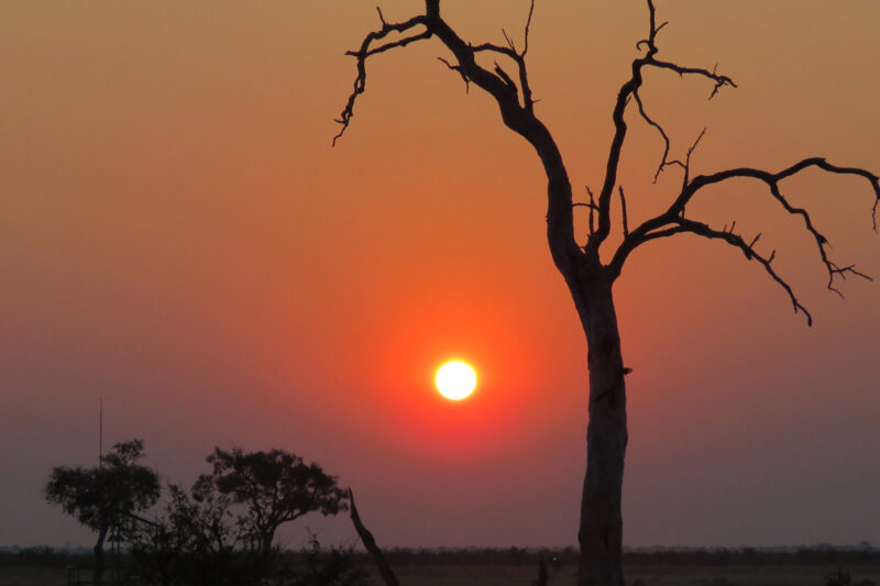 Kalahari Breeze Safaris
