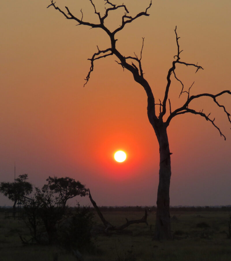 Kalahari Breeze Safaris