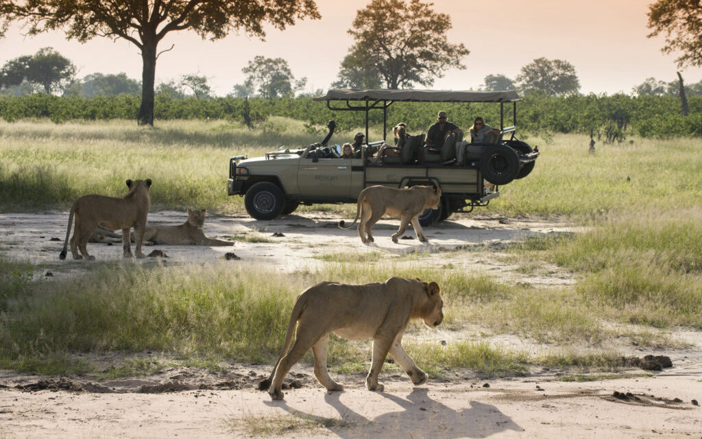Botswana Voted Best Safari Country 2024