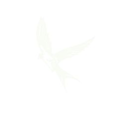 https://hatab.bw/wp-content/uploads/2025/06/HATAB-SITE.png