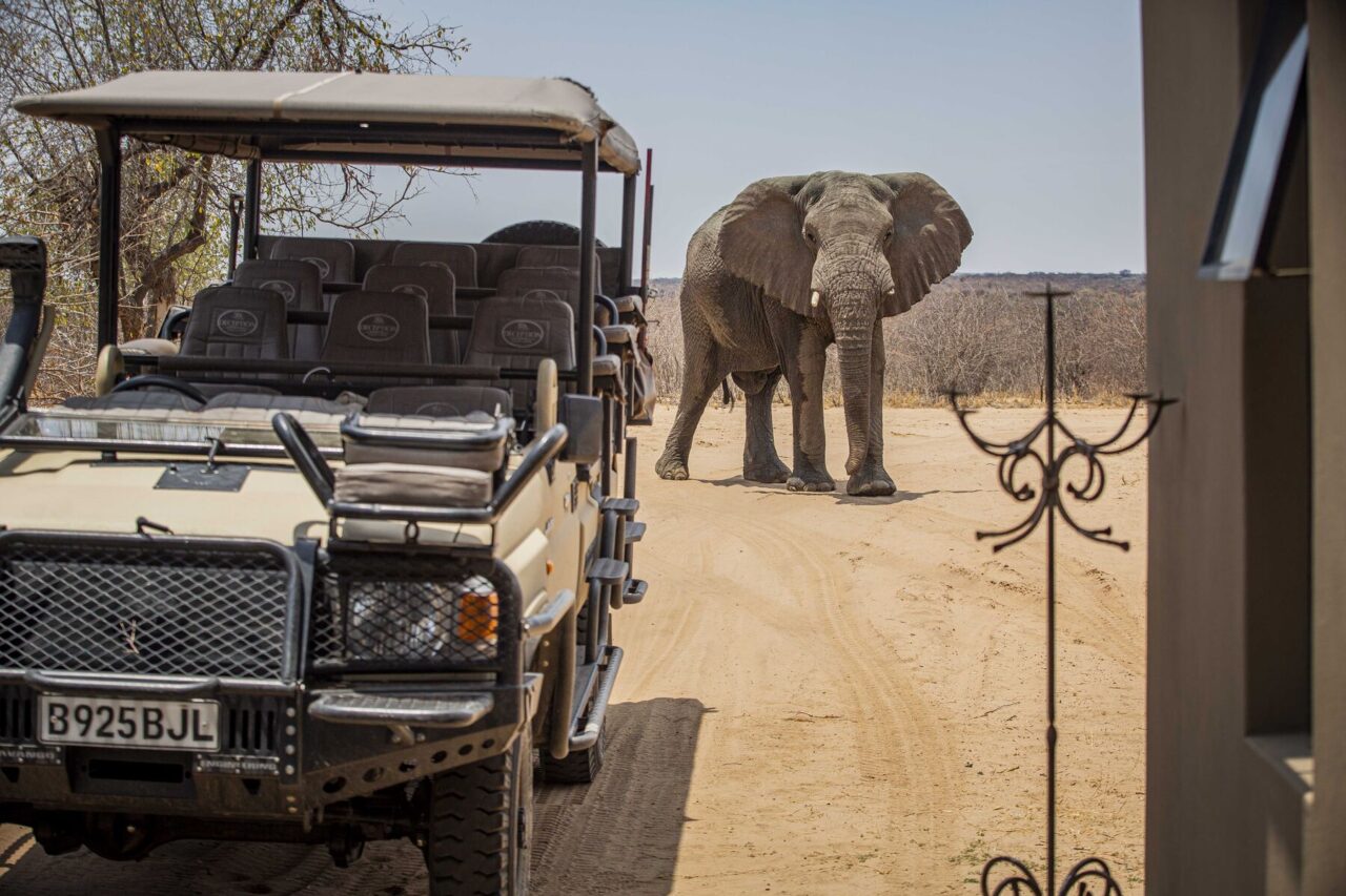 Bush Ways safari, Botswana