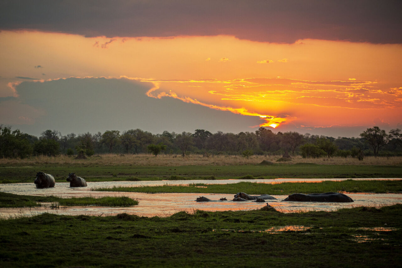 Bush Ways safari, Botswana