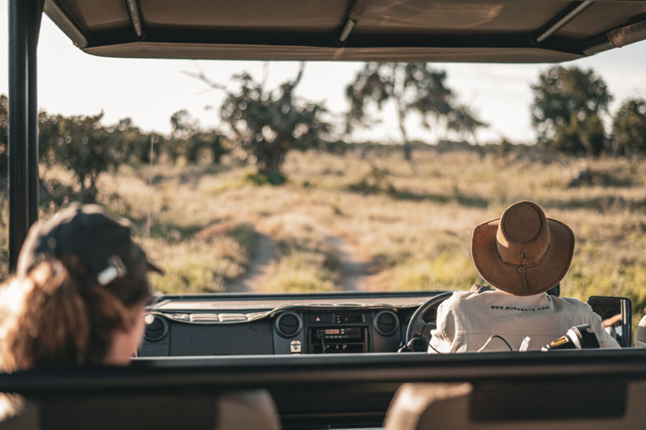 Bush Ways safari, Botswana