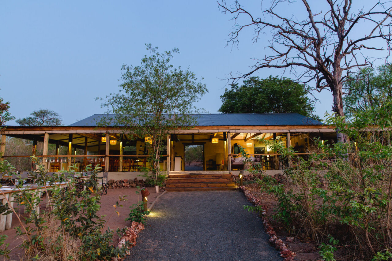 Bush Ways safari, Botswana