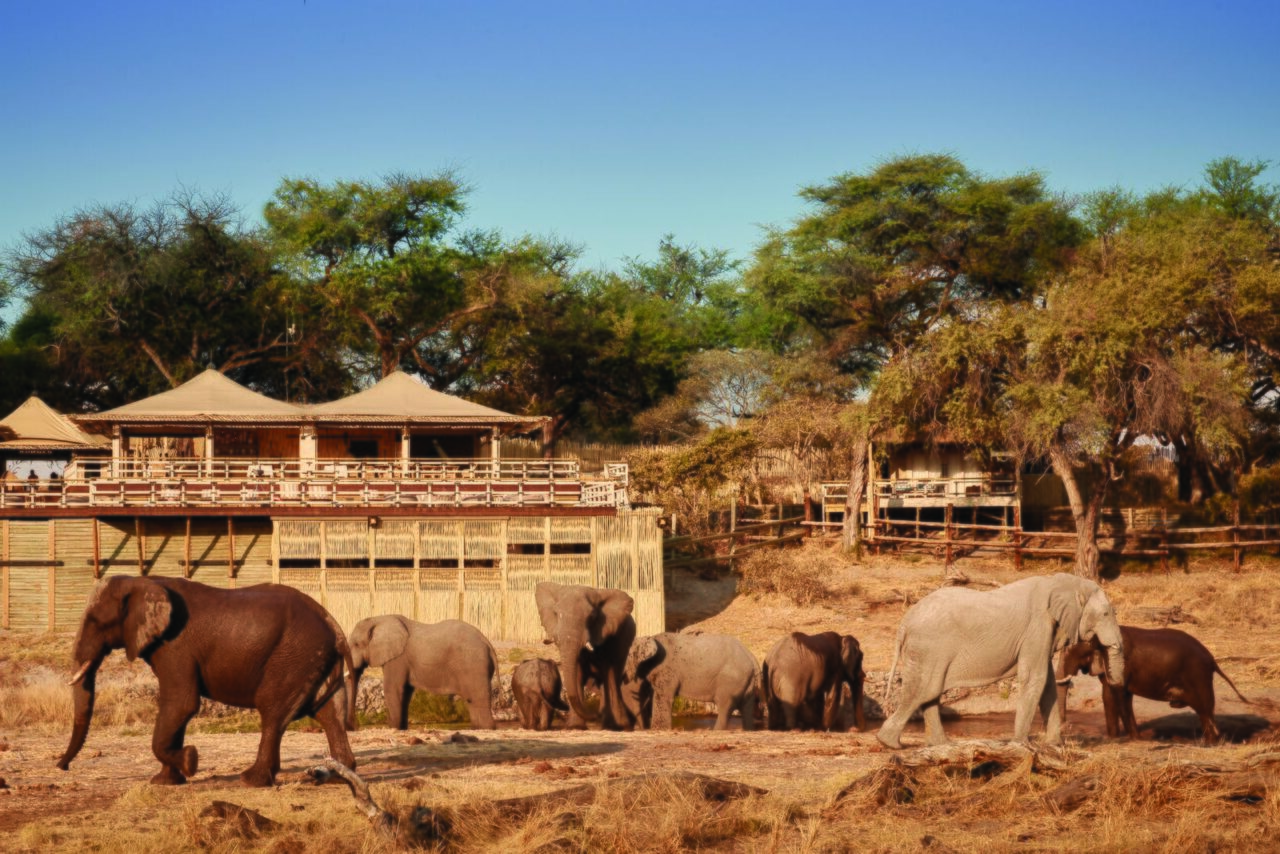 Savute Elephant Lodge, Belmond, Botswana