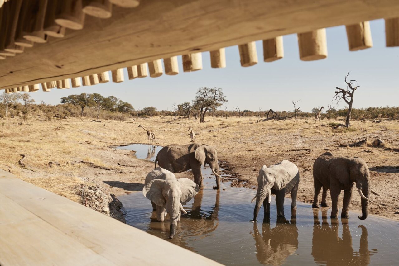 Savute Elephant Lodge, Belmond, Botswana