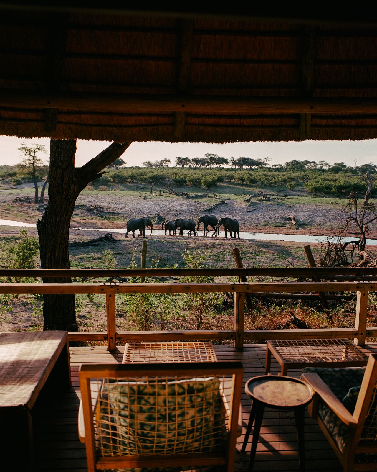 Savute Elephant Lodge, Belmond, Botswana