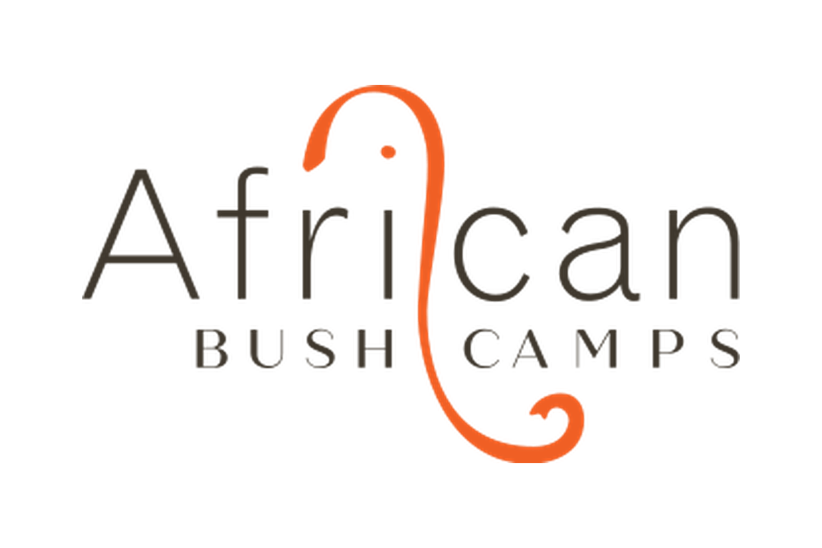 African Bush Camps